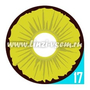 Карнавальные линзы Lensmam Deathly Yellow Фото 9